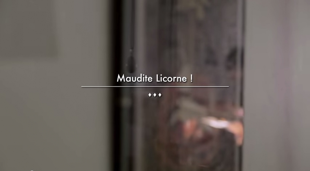 La Cité de la Tapisserie 3/3 - Maudite Licorne ! / Marion Lozach